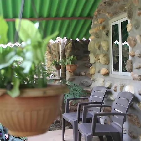 Villa Jungle Book Goa